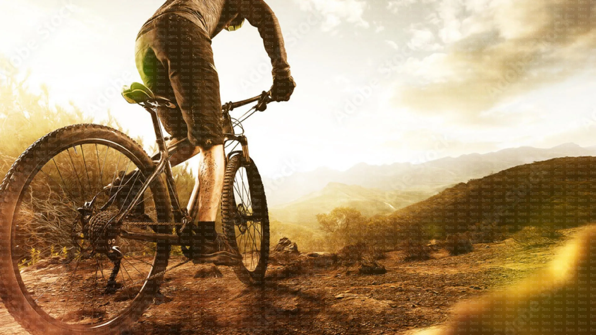 AdobeStock_157389960_Preview